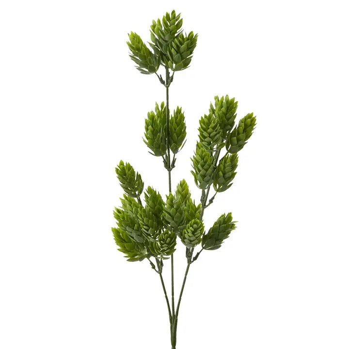 25" Weatherproof Hops Greenery Stem
