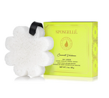 Spongelle Boxed Flower