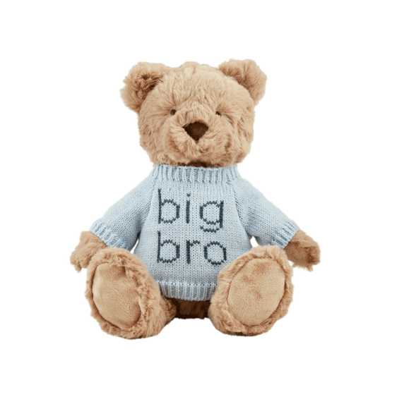 Big Bro Plush Bear