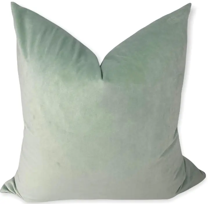 Mint Velvet Pillow