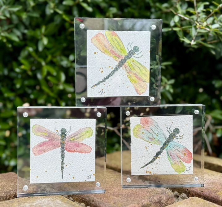 Original Watercolor Dragonfly Painting in Acrylic Frame