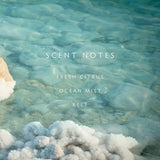 LINNEA SEA SALT DIFFUSER