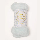 "Thank Heaven For Little Boys" Toile Breezy Blue Lovey