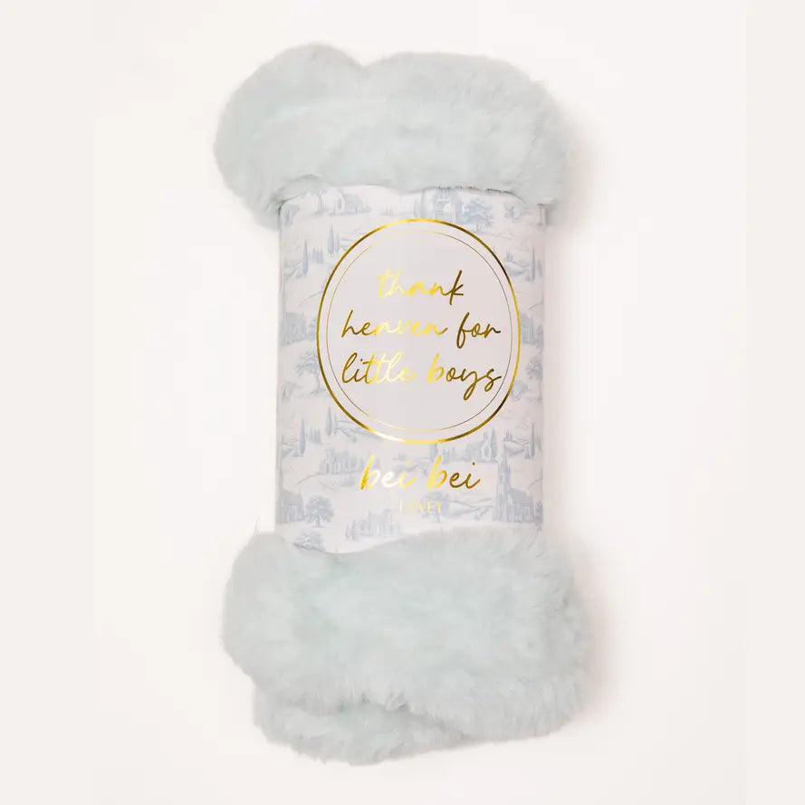 "Thank Heaven For Little Boys" Toile Breezy Blue Lovey