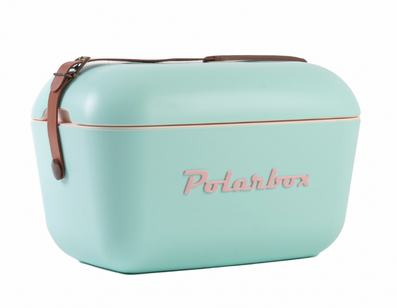 Cyan Polarbox 21Qt.