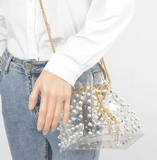 Eylana Clear Bag