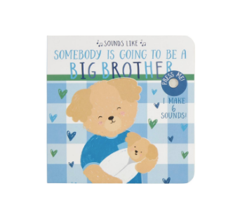 Sounds Like Big Brother Book