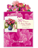 Mini Mother's Day Peony Paradise Pop-Up Card