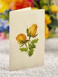 Mini Sorbet Roses Pop-Up Card