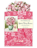 Mini Japanese Cherry Blossoms Pop-Up Card