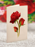 Mini Blooming Roses Pop-Up Card