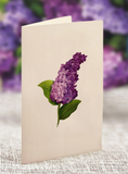 Mini Garden Lilacs Pop-Up Card