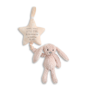 Musical Pull Toy - Bunny