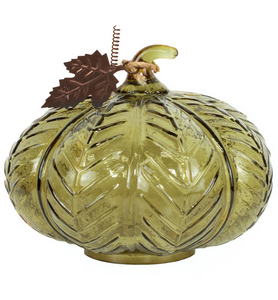 Darby Pumpkin, 8"