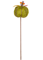 Harvest Pumpkin Stem in Green