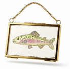 Original Watercolor Trout Art in Gold Frame