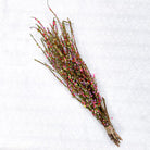 Celebration Twig Bunch