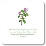 Hydrangea Verse Cards
