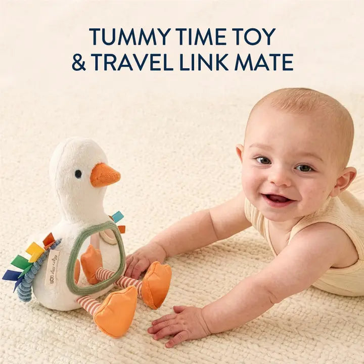 Itzy Bitzy Tummy Time Mirror - Goose