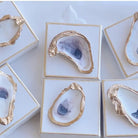 Hand Gilded Oyster On Canvas