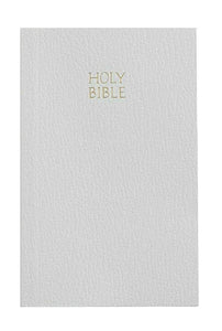 Kid's Holy Bible